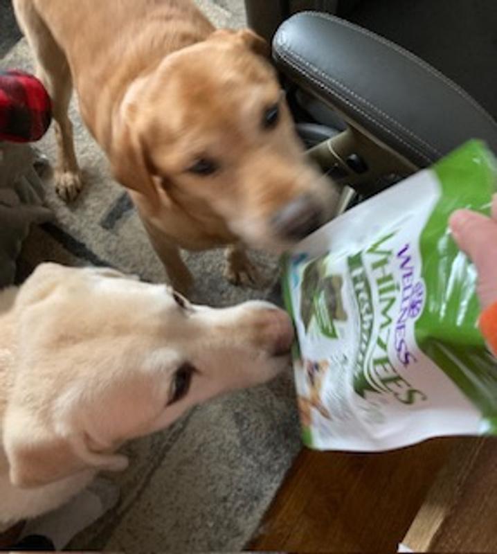 Excited to smell the treats!