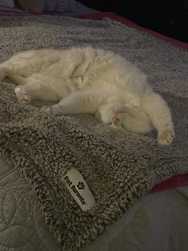 Way too cozy!!!