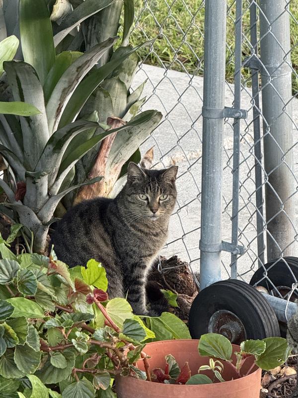 Just one of our many out door Rescues...