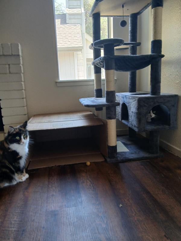 Star is indifferent though