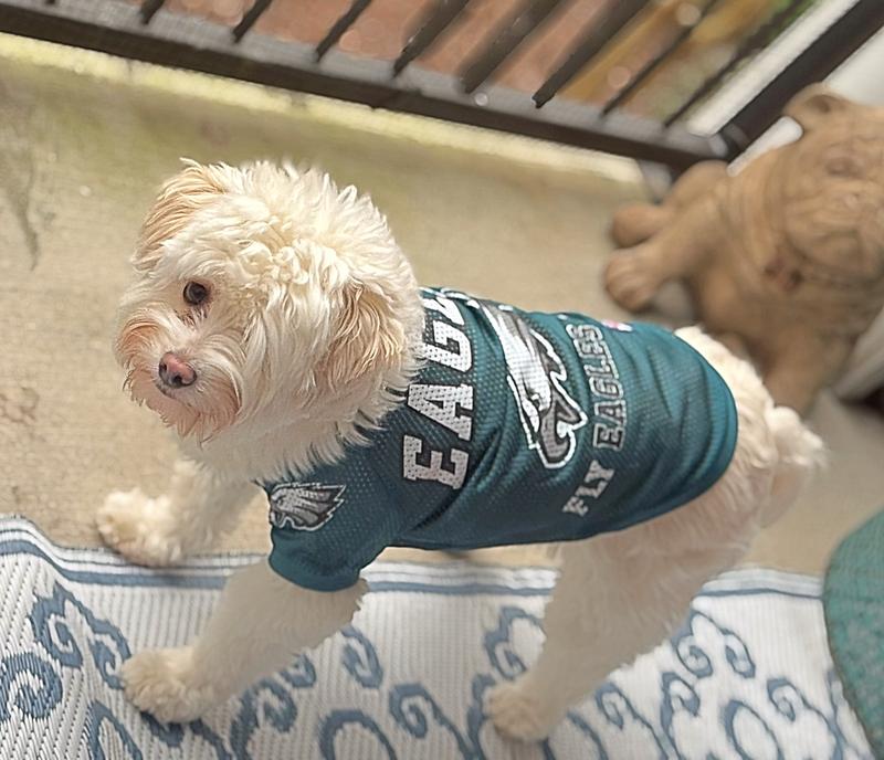Eagles Football Jersey