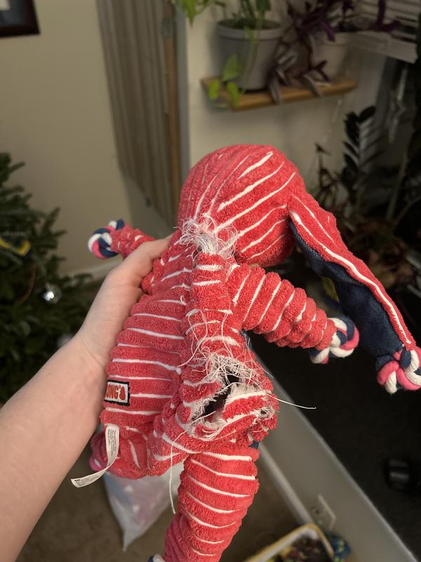 The damage on bunny so far