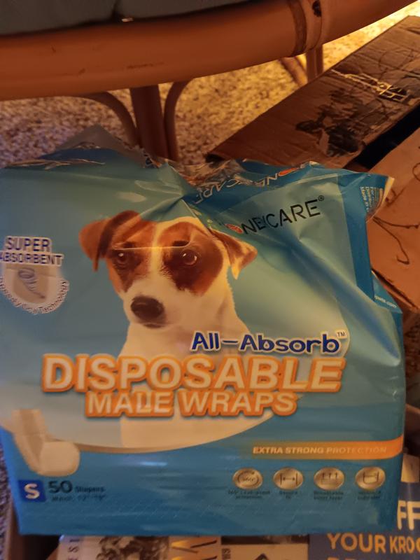 All absorb 2024 male dog wraps