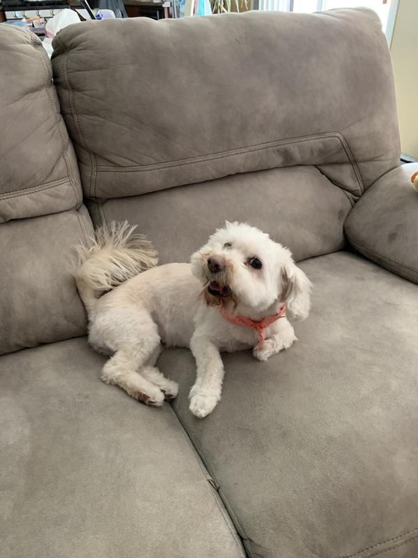 Best detangler ever!