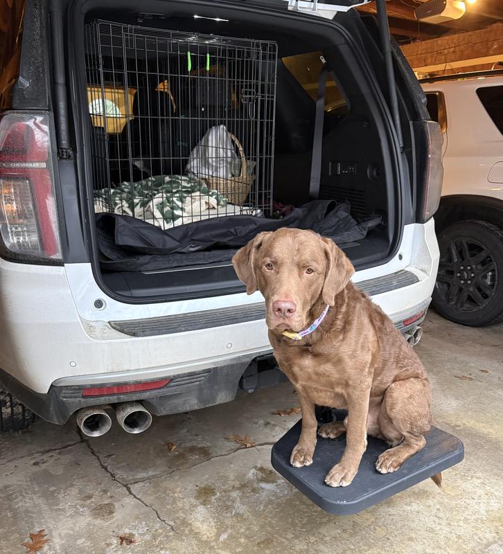 Bennie learning about the step.