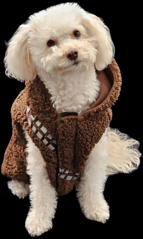 Chewbacca dog hot sale sweater