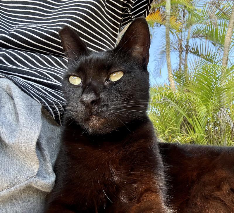 Just one of our many out door Rescues...