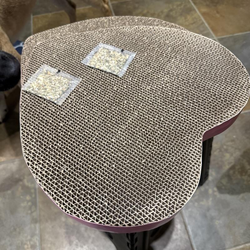 2 packs of scratchers and catnip