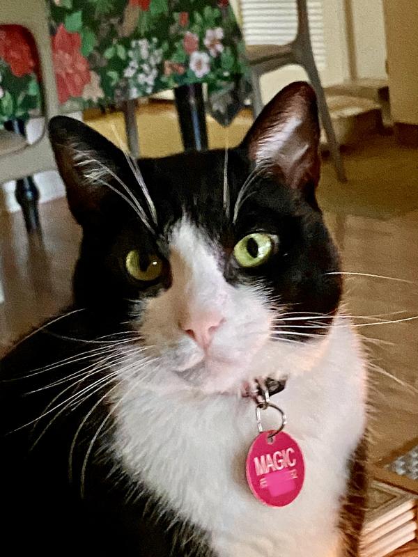 Her name is Magic!