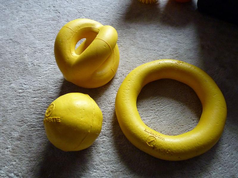 Survivors!  (The other two are ~2yr old now!)