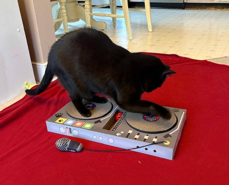 . . . and scratchpad 2