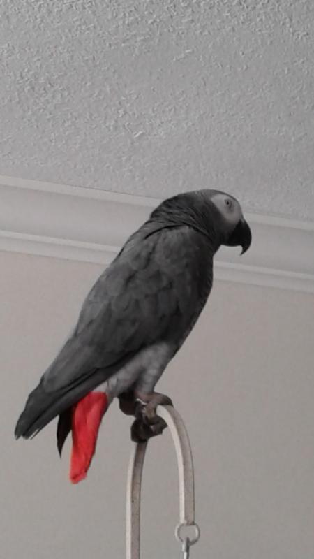 No sour crop for me!