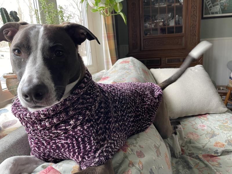 Sally Stylin’