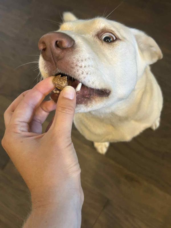 My pup approves! She'll eat these as treats