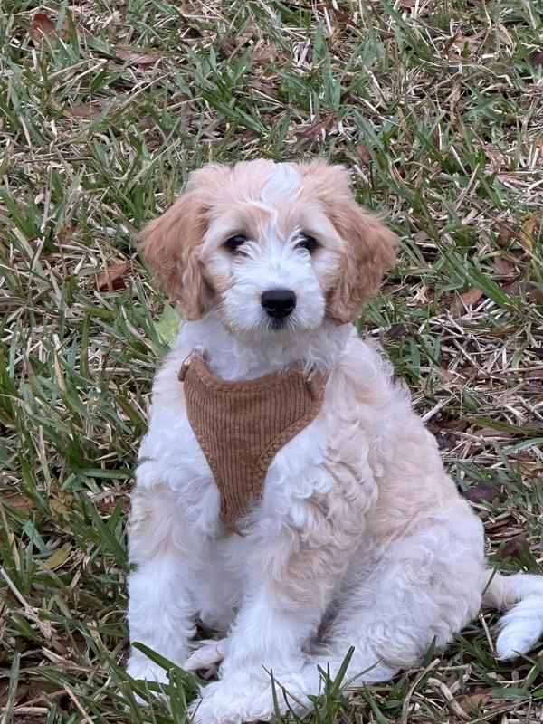 Latest addition, and we’re done!