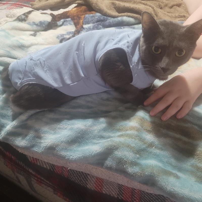Our Precious Houdini