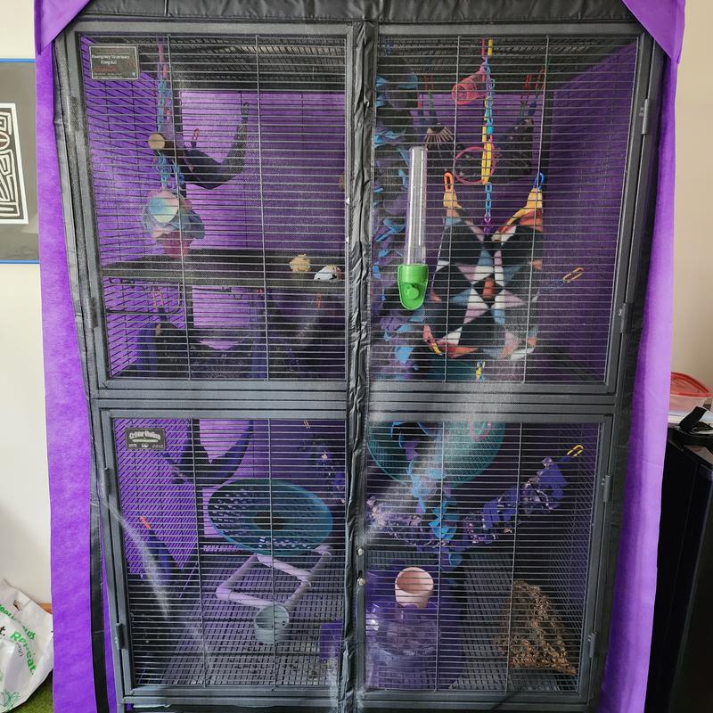 Keeps mess in on Critter Nation while still being able to check on pets