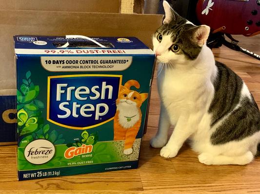 Vanilla Bean Approved!