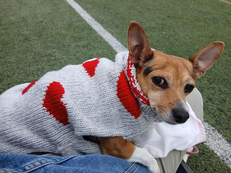 This is a nicely made sweater