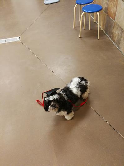 Graduation in Intermediate Training Class