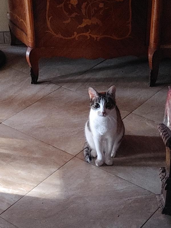 Im 14 years old and was raised in day 1 with PETAG!