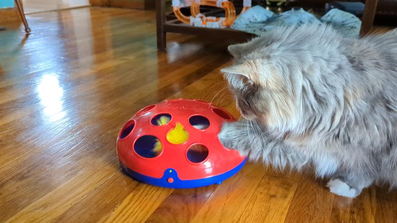 Kong Glide 'n Seek Cat Toy – bold-custom-projects