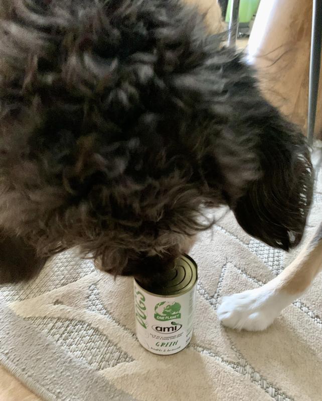 Dogs get excited when they see the can