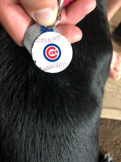 MLB Pet ID Tags – Quick-Tag