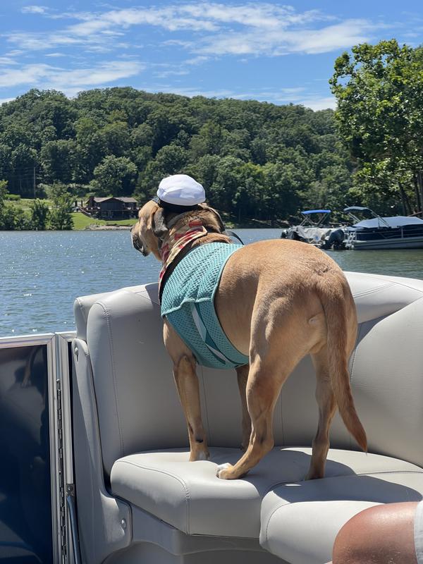 Captain Meatball staying cool!