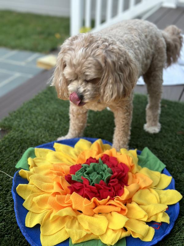 Fun, Cute, and Functional