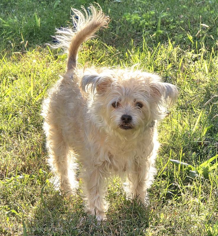 About 75% reduction in itching caused by environmental allergens