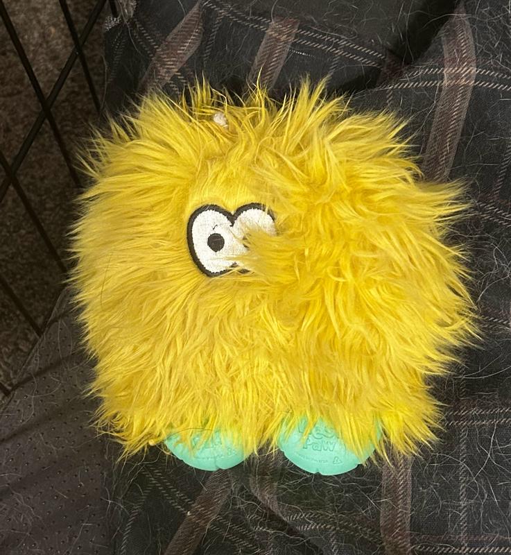 Couldn't destroy the toy after a week