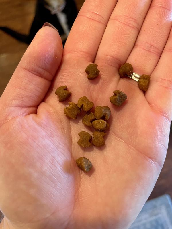 Kibble size and shows moisture of kibble