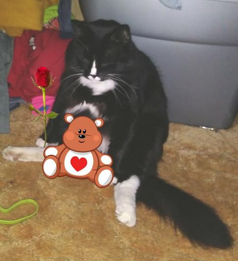Happy Valentine's Day