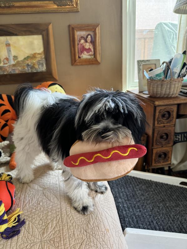 Molly loves her Laker toys.