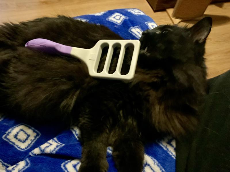 It’s really big to use on a cat, but at least Seeley’s a big boy