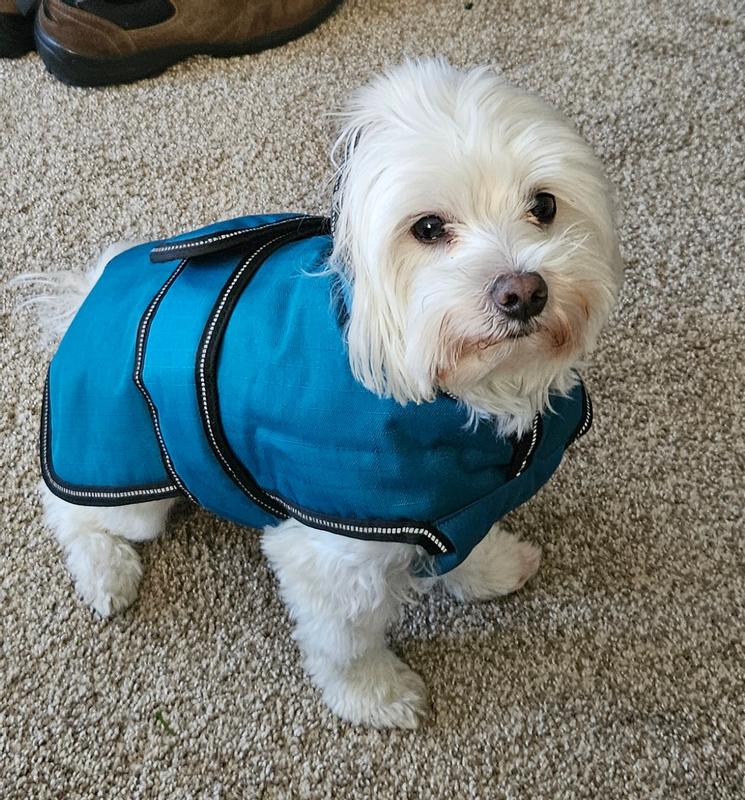 Petrageous kodiak store dog coat 438apxxl