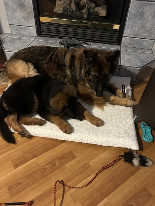 Side by side enjoying a treat