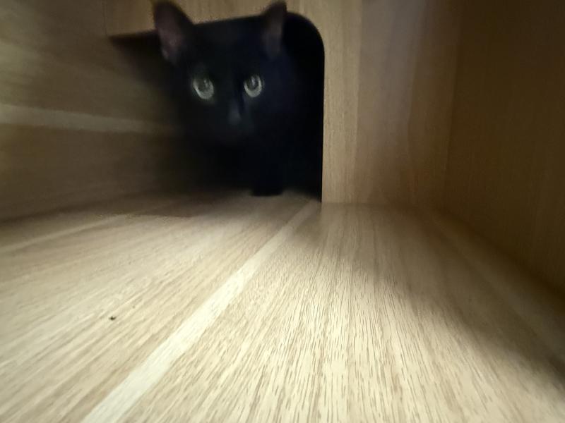 Flynn coming out of his hiding place.