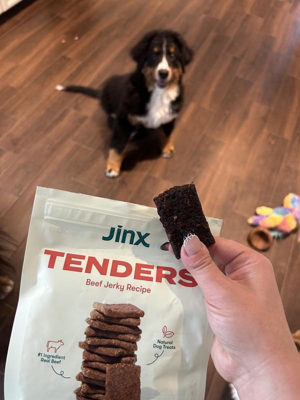 Jinx Beef Tenders Jerky Dog Treats, 5-oz bag