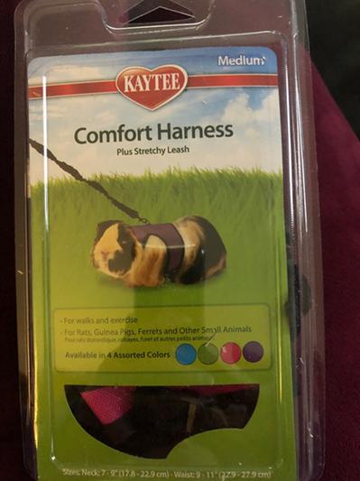 Kaytee comfort outlet harness