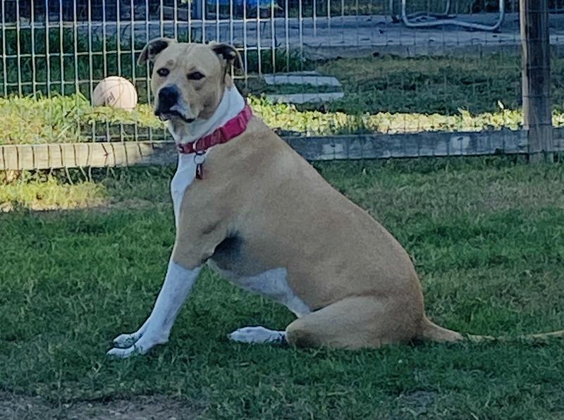 My beautiful sweet girl