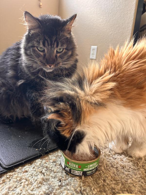 Look for it! See Bird’s paw swipe the food away from Pumpkin
