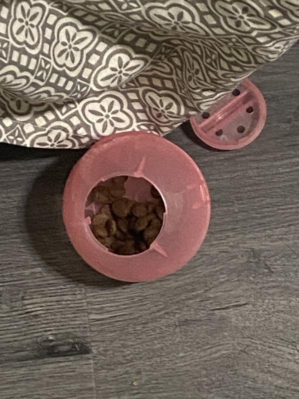 Cat opened the lid with her claw.