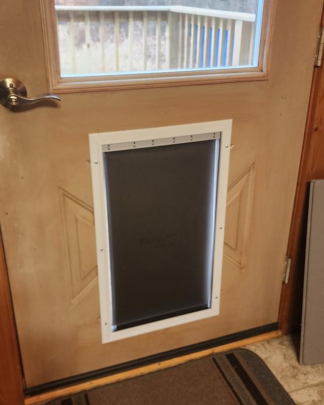 PETSAFE Aluminum Extreme Weather Dog & Cat Door, Large