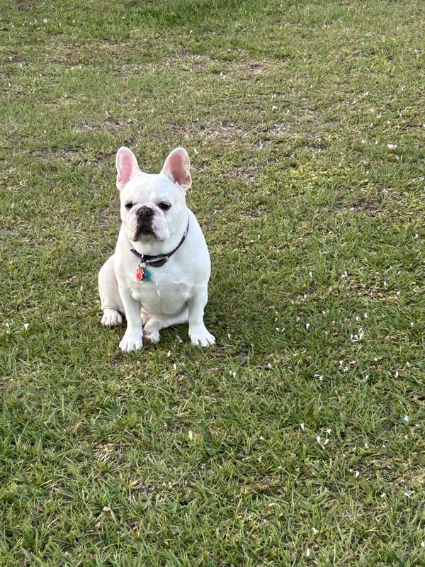 That’s my boy he’s my love of my life