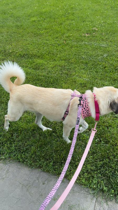 It was digging into her leg.