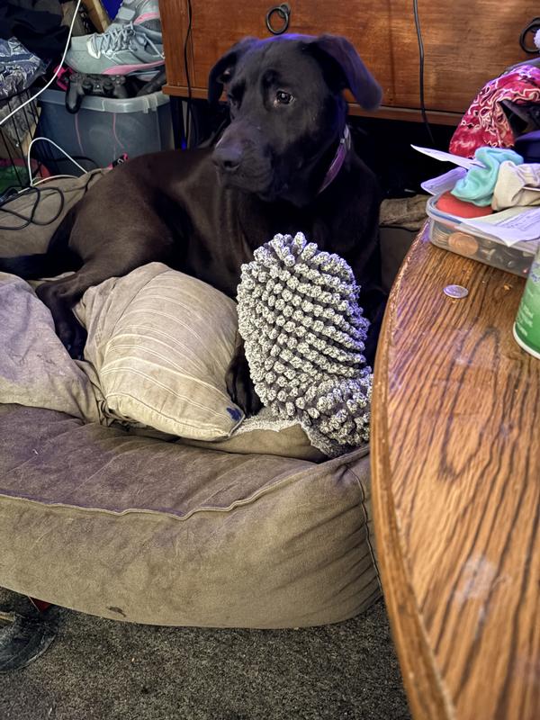 She thought it was for cuddles