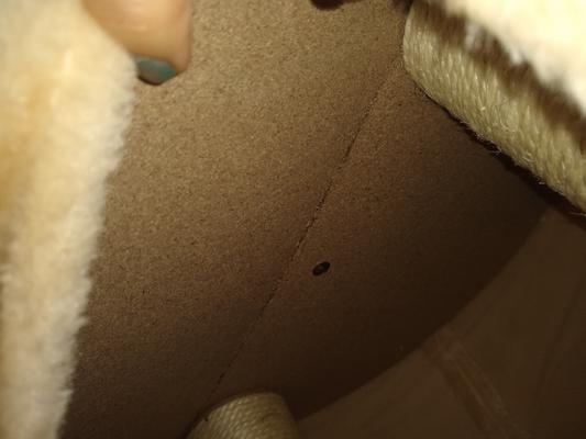 broken roof of the 'cat cave'