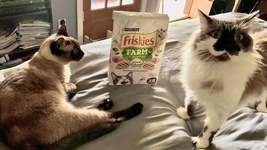 Friskies' new face:  star Grumpy Cat is pet food's new